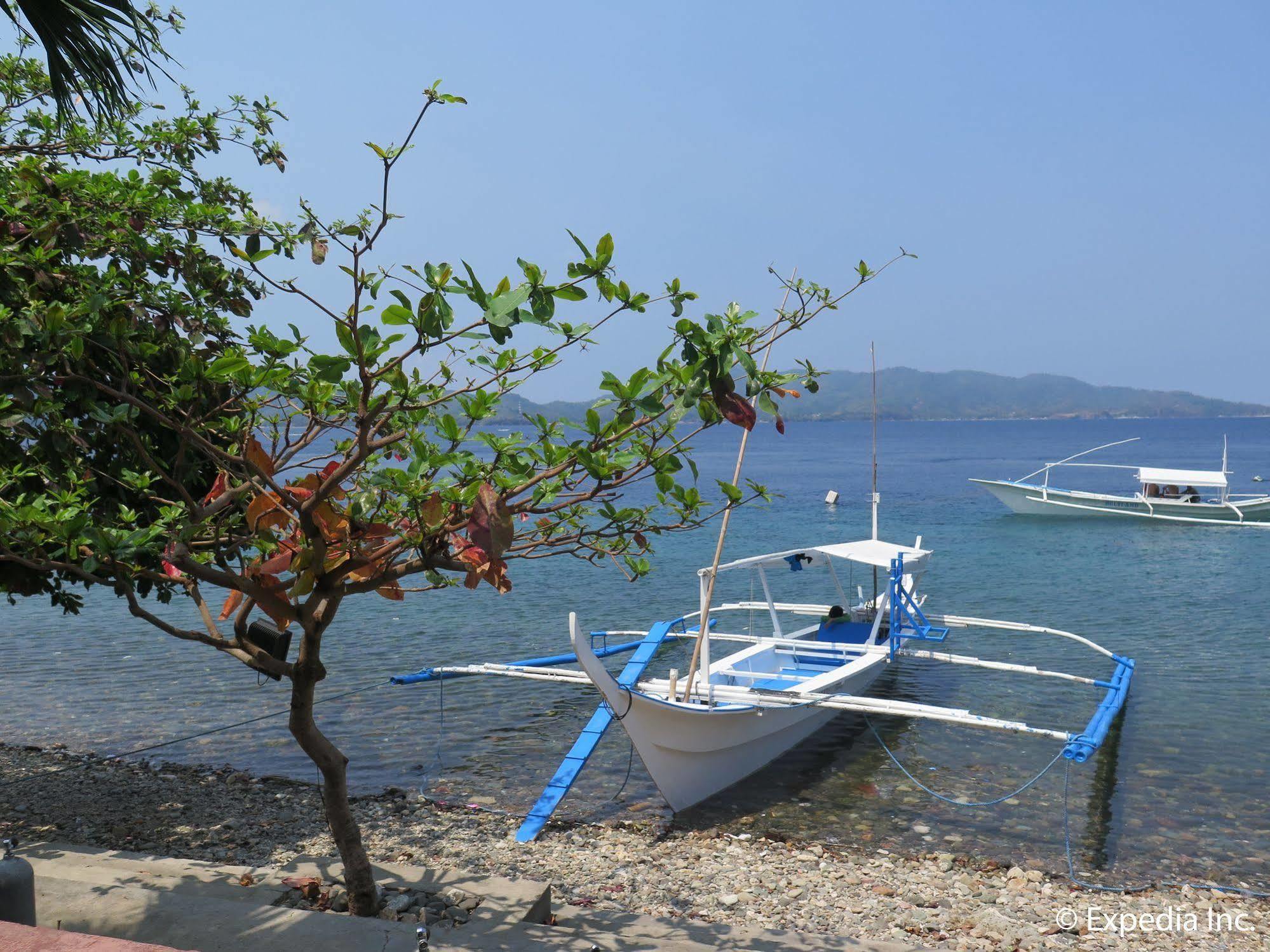 Planet Dive Mabini (Batangas) Exterior foto